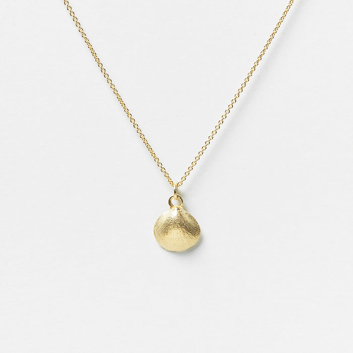 Baby Shell Necklace in Gold
