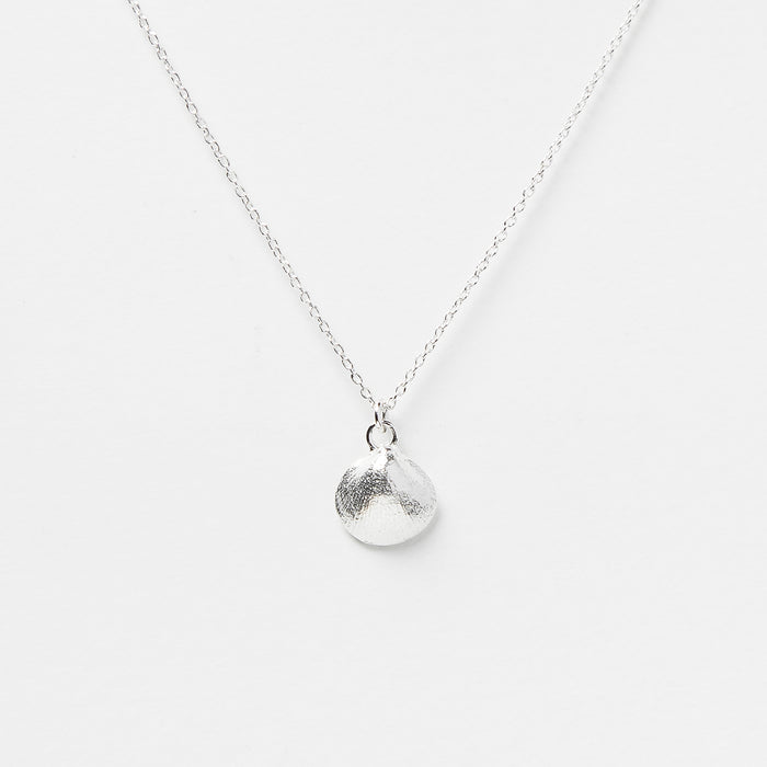 Baby Shell Necklace in Silver