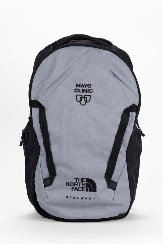 Backpack, The North Face Stalwart