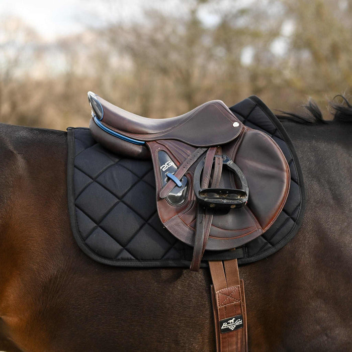 Not So Basic Black equestrian bundle with black saddle pad, boot socks, and spur straps on horse