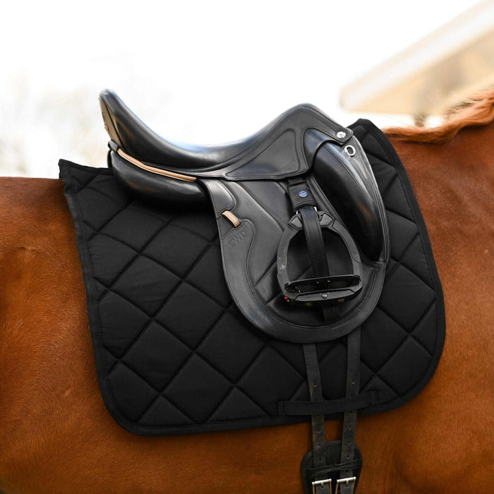 Dressage