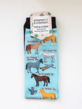 Clipart Pair & a Spare equestrian boot socks in their header card, by Dreamers & Schemers