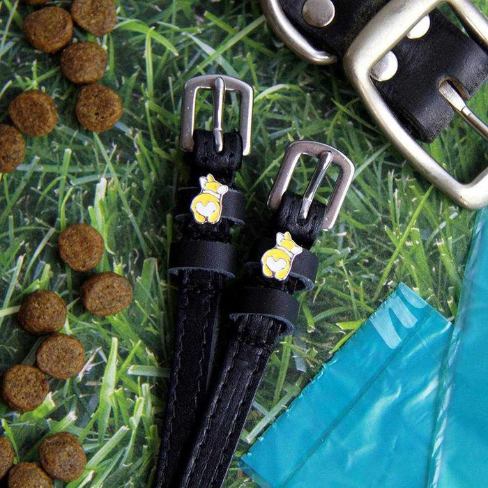 Corgi butt spur straps on grass with dog kibble, collar and poop bag