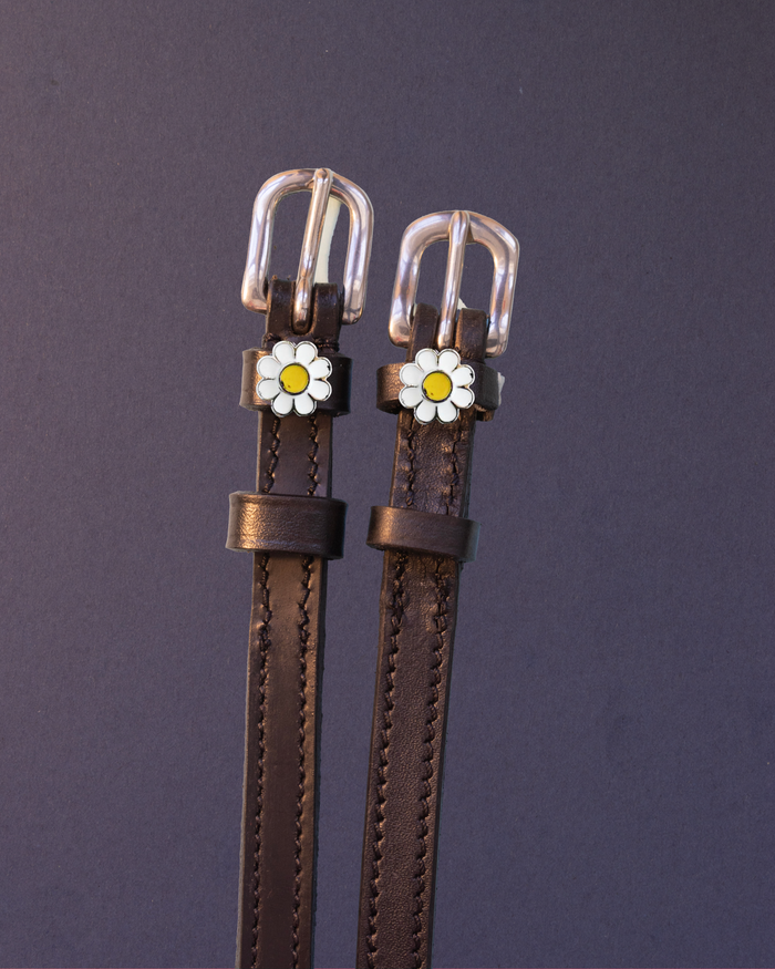 Brown leather daisy spur straps with silver buckles on a dark slate background