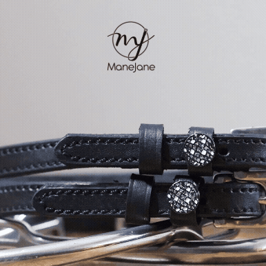 ManeJane branded graphic with disco ball spur straps and logo above a silver spur