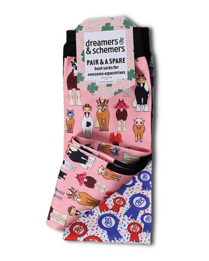 Disguise Pair & A Spare Socks