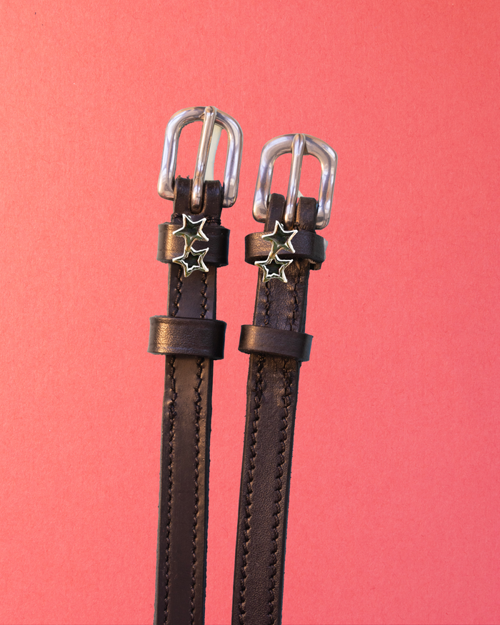 Dark brown leather double silver star spur straps on a coral background