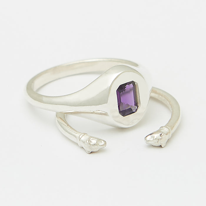 February - Amethyst