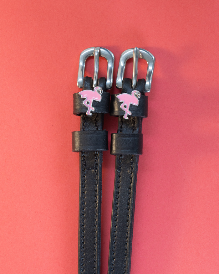 ManeJane flamingo spur straps flat-laid on a coral-red background