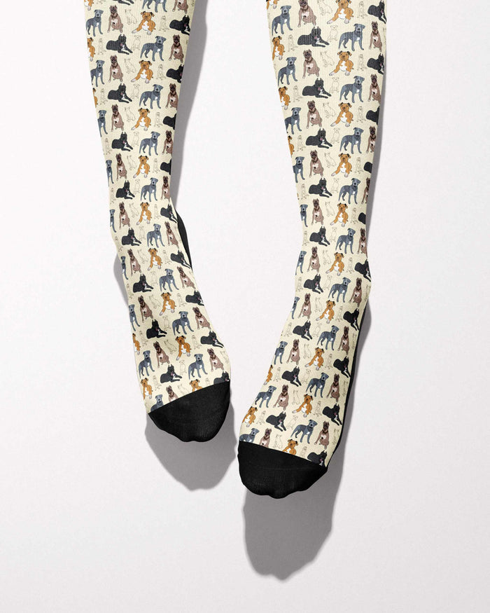 Lab Mix secret limited edition boot socks with labrador mix dog in blue, by Dreamers & Schemers