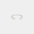 Lioness Ring in Silver for Him