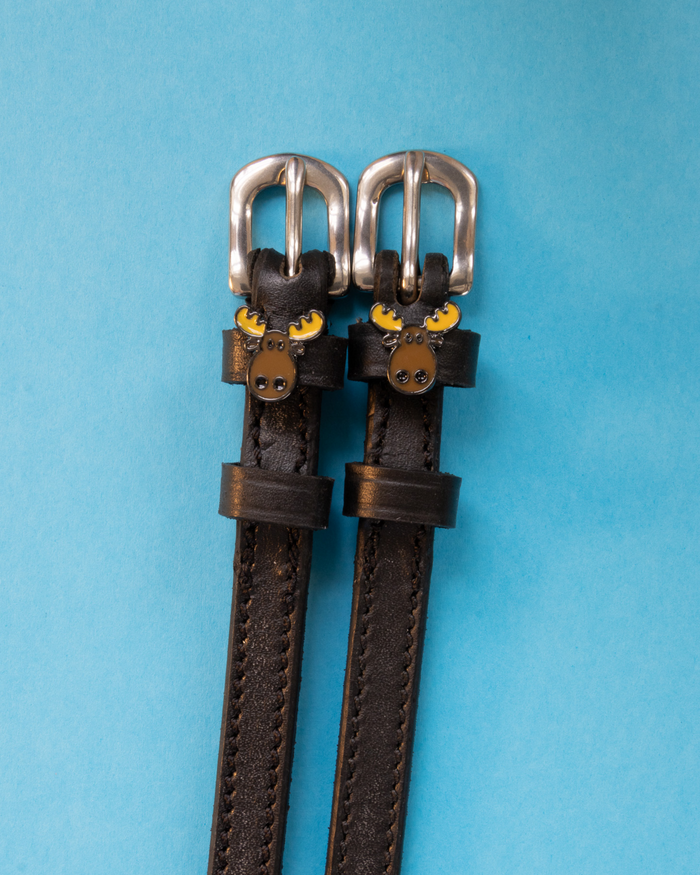 Dark brown leather moose head spur straps with silver buckles on light blue