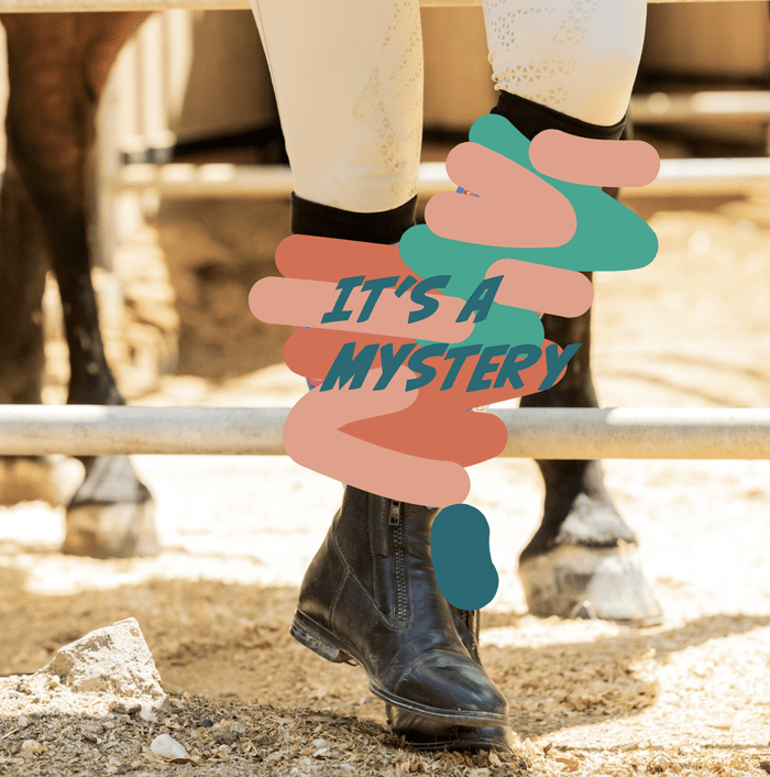 Mystery Socks by Dreamers & Schemers