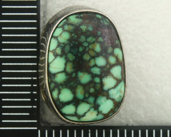 Navajo Earrings 925 Silver Spiderweb Natural Turquoise Signed D Lvingston C80s