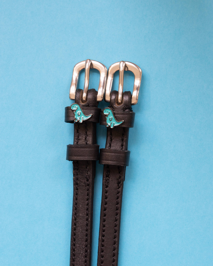 Pair of Nice Dino spur straps with teal dinosaur charms on a blue background