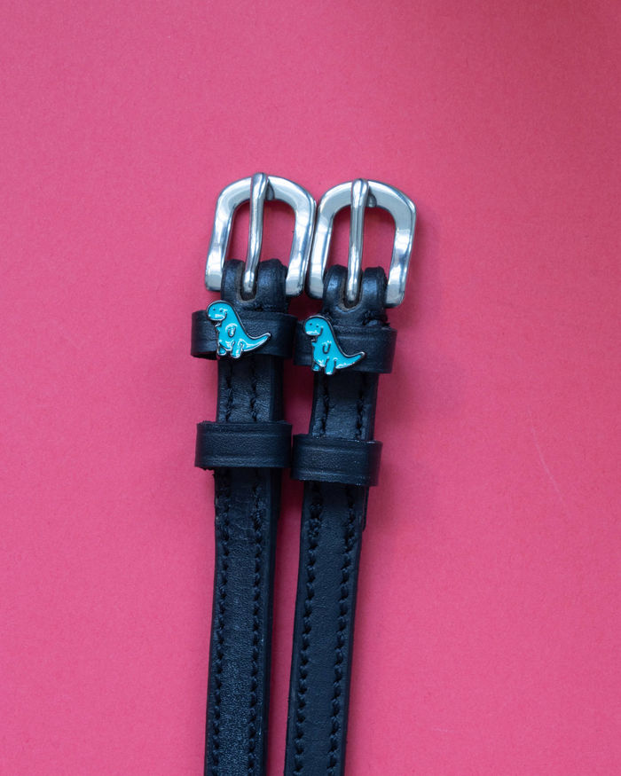 ManeJane Nice Dino spur straps with teal charms on a coral background