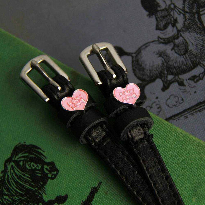 Pony Love spur strap buckle ends on a vintage green horse-illustration book