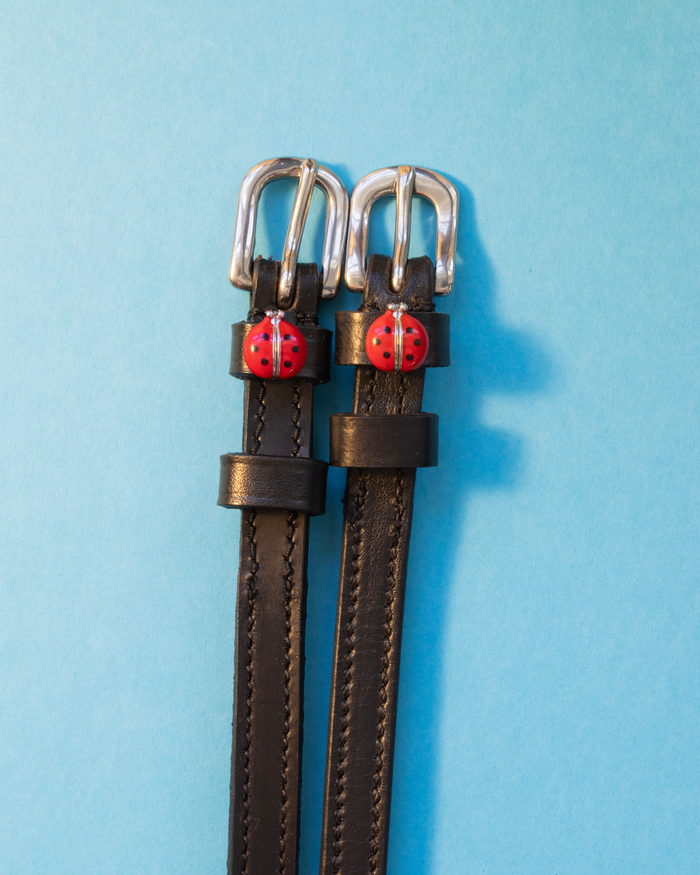 Black leather ladybug spur straps laid flat on a light blue background