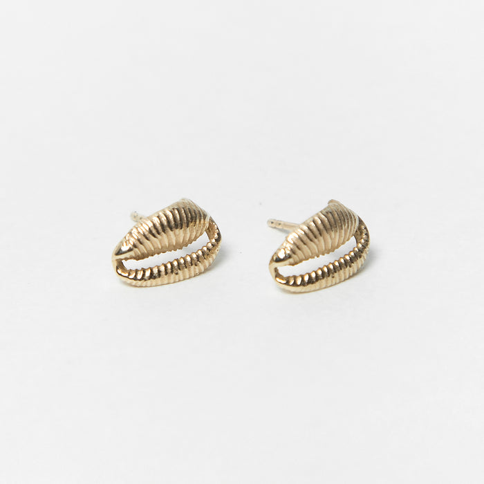 Sandy Seashell Studs