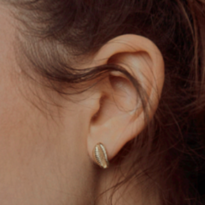 Sandy Seashell Studs