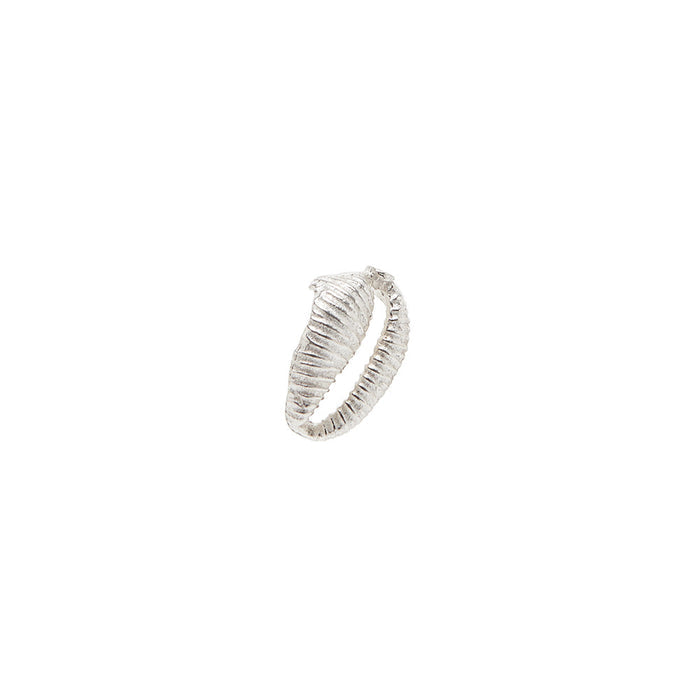 Sandy Seashell Studs