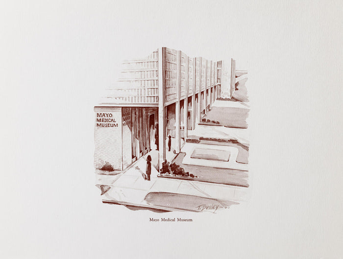 Sketches, unframed prints