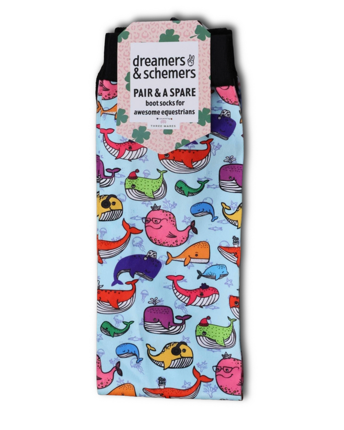 Whale Whale Whale Youth Pair & a Spare Socks